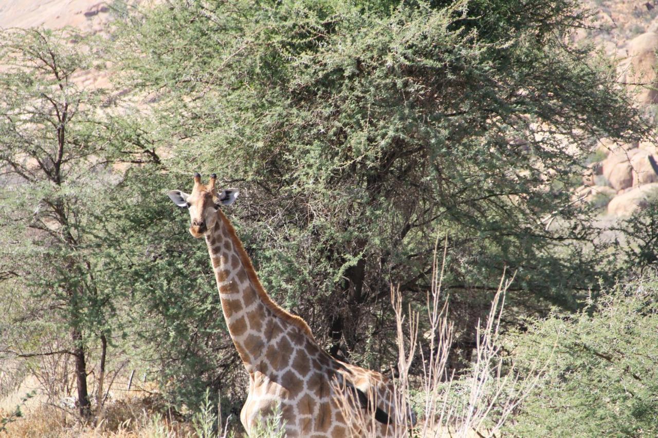 Ai Aiba - The Rock Painting Lodge Omaruru Exterior foto